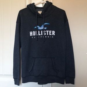 NWOT//Classic Hollister Hoodie❤️🥀